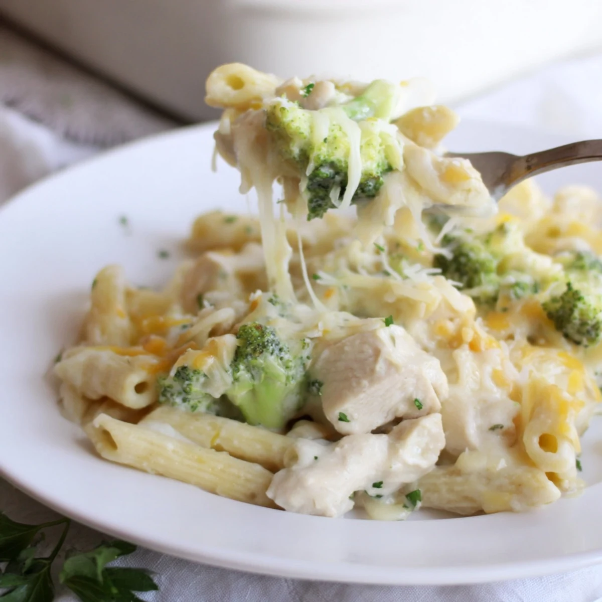 Chicken Broccoli Alfredo Bake fresh from oven, creamy sauce, Parmesan crust.
